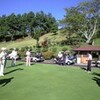 Green　grass & blue sky