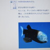 知恵袋・・謎のバグ。　アイコンが消える？？