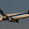  NH JA818A B787-8