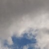 取れました