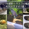 2023年最新タナゴの繁殖におすすめ二枚貝3選！カワシンジュの代わりはコレだ！