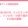 【BLEACH】バンビエッタの死後、ゾンビ化！小説で描かれるその後の展開