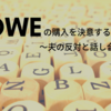 DWEの購入を決意するまで