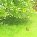 OHUTON