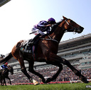 競馬で勝ち続けアメリカン・ドリームを掴み取るブログ