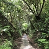 【鎌倉いいね】新緑の鎌倉はうつくしい。