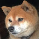 地球儀をまわして