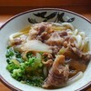 かしわうどんが美味いのでダイレクトマーケティングさせてほしい