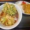 みのがさ神田和泉町店（秋葉原） ミニカレーセット＋春菊天