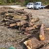 #村内から出た木材を村内で消費