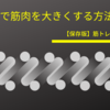 【保存版】筋トレで筋肉を大きくする方法