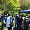  陸前高田に茶摘みに行ってきました !