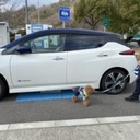 日産リーフ充電記録
