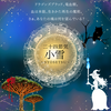 二十四節気 11月22日より小雪(しょうせつ)、現実創造マジカルハーブはドラゴンズブラッド🐉