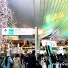 羽田空港 国際線 ANAラウンジ