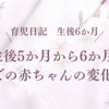育児日記　生後5か月から6か月での赤ちゃんの変化