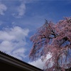 醍醐寺　〜霊宝館編〜