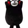 勿体無いです。いくらでもお教えするのに。