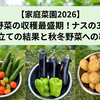 【家庭菜園2026】夏野菜の収穫最盛期！ナスの3本仕立ての結果と秋冬野菜への準備