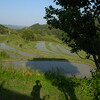 棚田（大山千枚田）