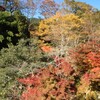 Autumn Colors