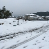 大雪でした