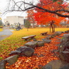 宮沢賢治と歩く霧雨の花巻市ぎんどろ公園　　１１月１９日