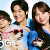 『初恋DOGs』◇隙がない清原果耶さんに、ワンちゃんまみれがお似合い？─ 第1話【ネタバレ】