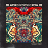 【新作/全曲試聴】Blackbird Blackbird – Tangerine Sky