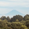 今朝の景色