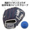 沖縄で数少ない公式戦‼️プロ野球ナイター！西武対ソフトバンク‼️