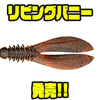 【ジャッカル】リブと大きなテールが特徴的なワーム「リビングバニー」発売！
