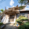 躍動感