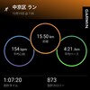 【ラン】出鼻をくじかれる【９０分走DNF】