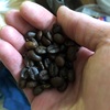 ドンキホーテで買えるコーヒー豆。フルーティな香りを楽しめるおすすめのモカブレンドはこれ！【三本コーヒー】