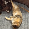 今週もお疲れさまでした。