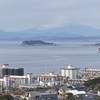 新春の披露山公園へ（逗子市）～富士山・江の島を望む絶景地