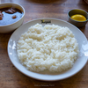 【柏】辛さの中の混沌の妙味！う～ん辛くて分からんけど美味いカシミールカレー＠BOMBEY CAFE（旧柏ボンベイ西口店）4回目