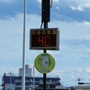 暑さに耐える日常