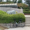 自転車活動