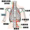   【基礎から学ぶ】呼吸筋【運動学】