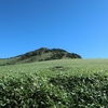 登山口から30分で美しい笹原テント泊【瓶ヶ森1897ｍ：愛媛県西条市】