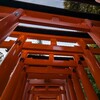 昨年より心地良い感じ