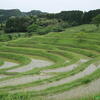 大山千枚田♪（千葉県鴨川市平塚）