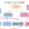 呼吸不全の病態①　細かく見ていきます☆