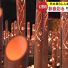 秋の夜を竹灯籠の灯りで彩る「みずあかり」【熊本】