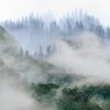 楽浪の連庫山に雲居れば･･･巻第7-1170～1172