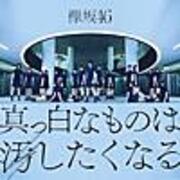 黄色い花に恋をしたのは誰なのか 夏の花は向日葵だけじゃない の歌詞について考えてみた Keine Lust Keine Zeit