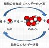 二酸化炭素＋水　→　炭水化物　→　炭化水素　→　二酸化炭素＋水　→