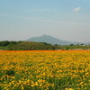 【関東】茨城・小貝川ふれあい公園